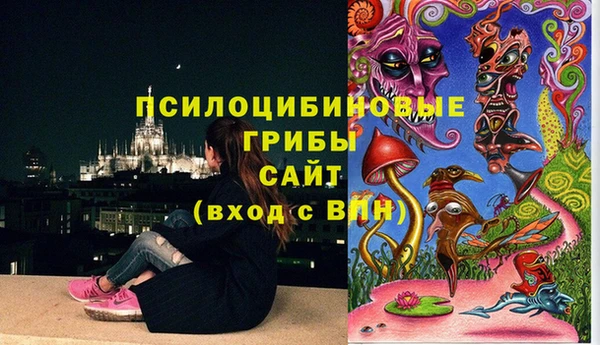 сатива Алексин
